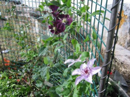Name:  005.jpg
Views: 1183
Size:  39.0 KB