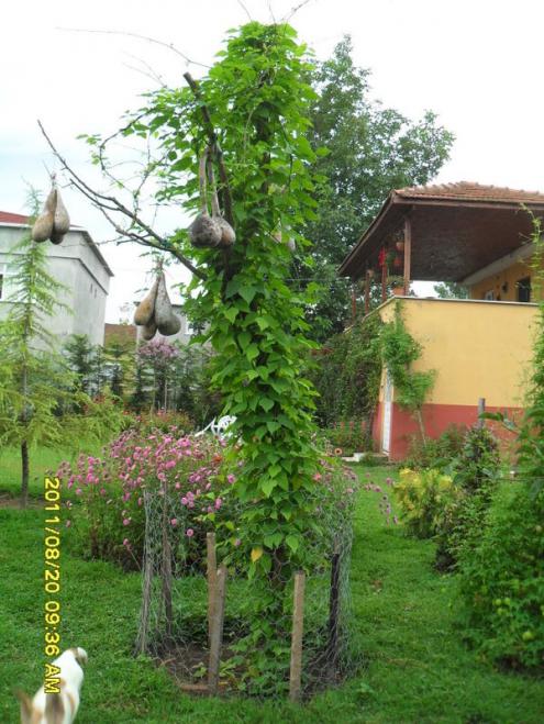 Name:  014-1.jpg
Views: 1017
Size:  70.2 KB