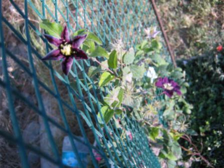Name:  001.jpg
Views: 763
Size:  32.2 KB