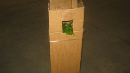 Name:  031.JPG
Views: 951
Size:  24.1 KB