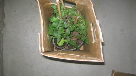 Name:  029.JPG
Views: 988
Size:  35.9 KB