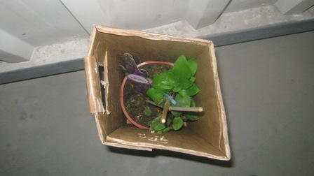 Name:  030.JPG
Views: 976
Size:  31.9 KB
