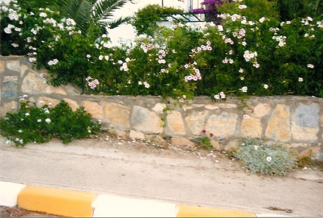 Name:  bahe42.jpg
Views: 1431
Size:  65.1 KB