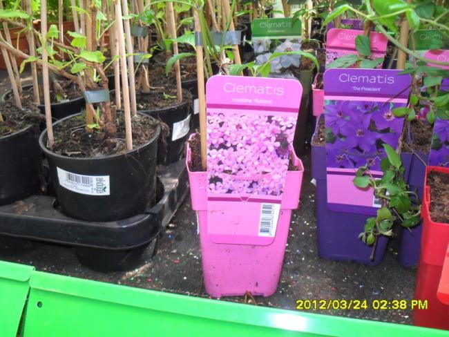 Name:  025.jpg
Views: 2423
Size:  62.3 KB