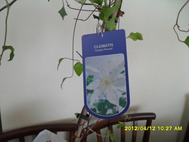 Name:  005.jpg
Views: 580
Size:  25.8 KB