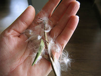 Name:  IMG_0023.jpg
Views: 5805
Size:  40.4 KB