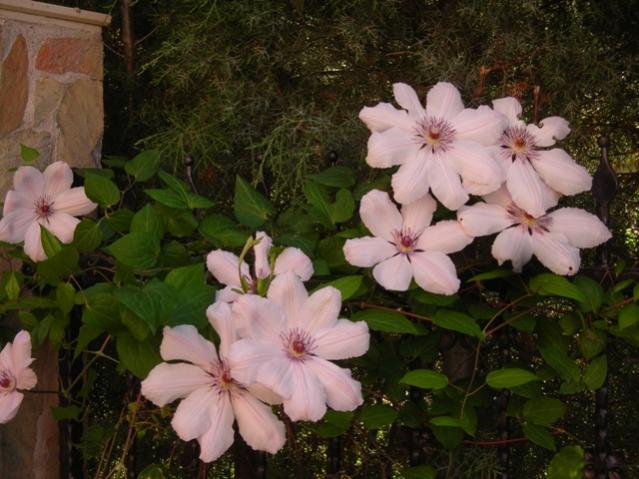 Name:  DSCN7439.jpg
Views: 880
Size:  50.3 KB