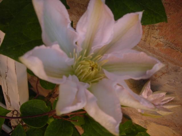 Name:  DSCN7438.jpg
Views: 1029
Size:  29.8 KB