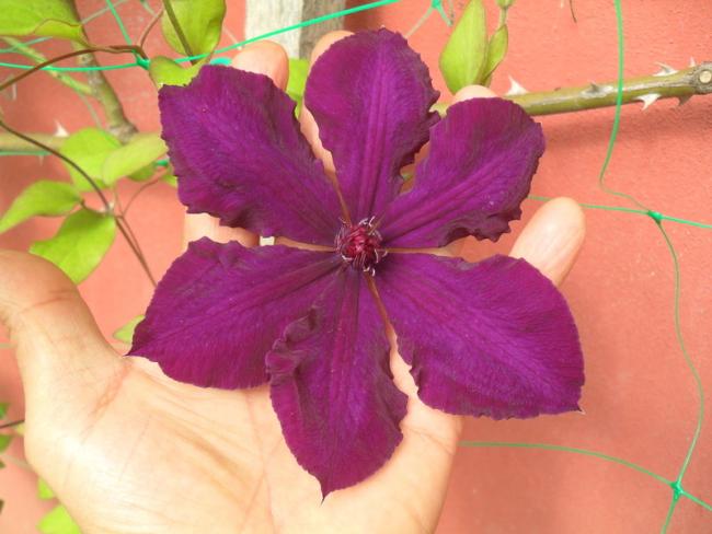 Name:  010.jpg
Views: 865
Size:  39.6 KB