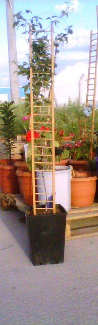 Name:  012.jpg
Views: 601
Size:  33.4 KB
