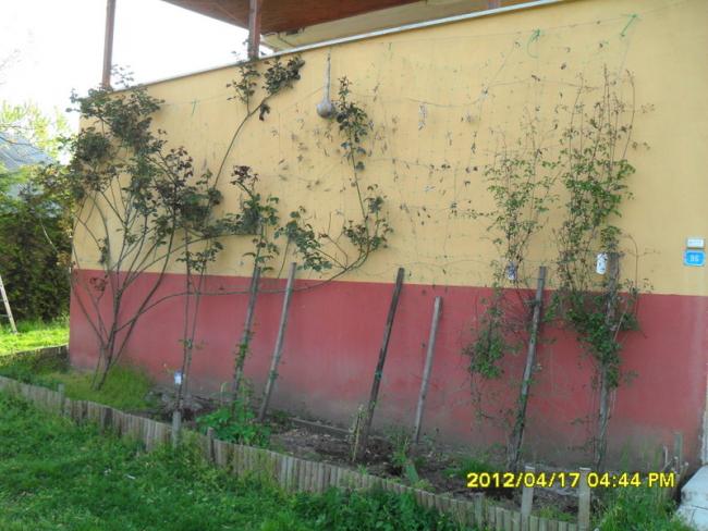 Name:  056.jpg
Views: 669
Size:  52.3 KB