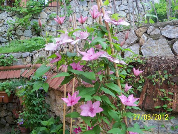 Name:  100_4135.jpg
Views: 463
Size:  72.0 KB