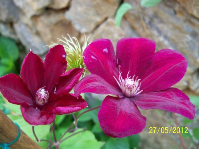 Name:  100_4155.jpg
Views: 429
Size:  41.3 KB