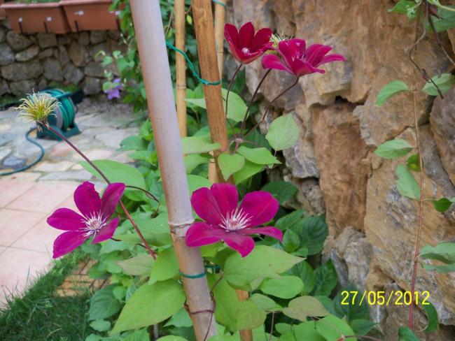 Name:  100_4157.jpg
Views: 459
Size:  56.4 KB