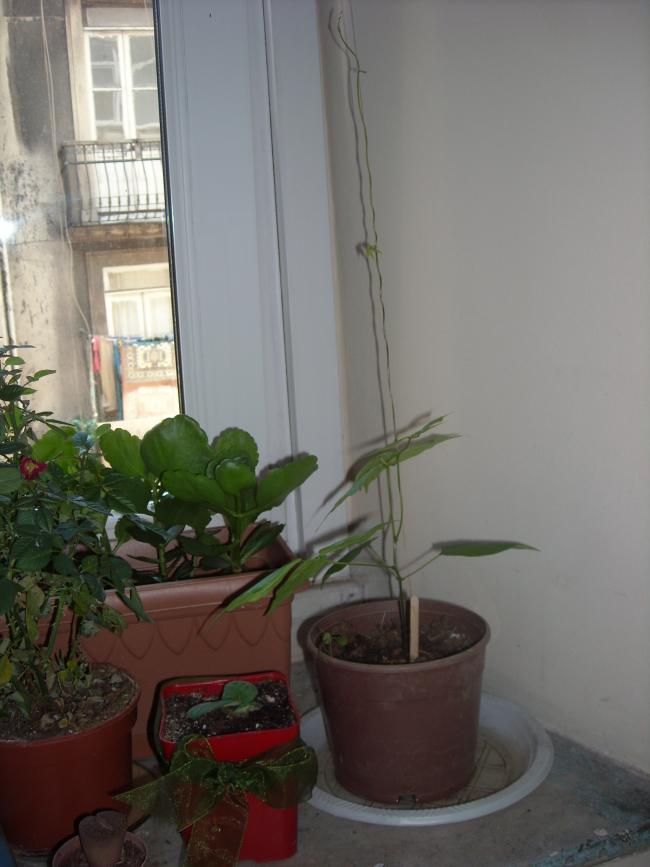 Name:  Resim 286.jpg
Views: 1157
Size:  50.6 KB