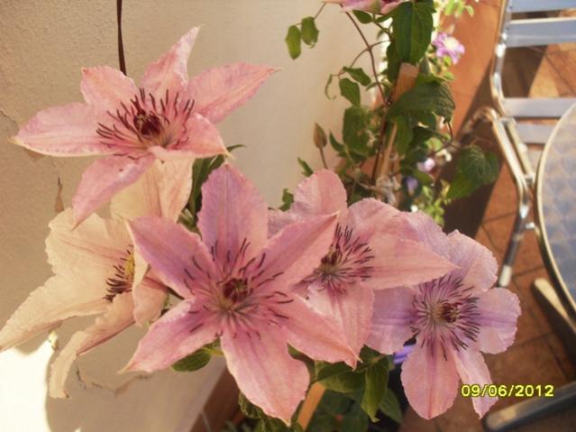 Name:  006.jpg
Views: 641
Size:  42.2 KB