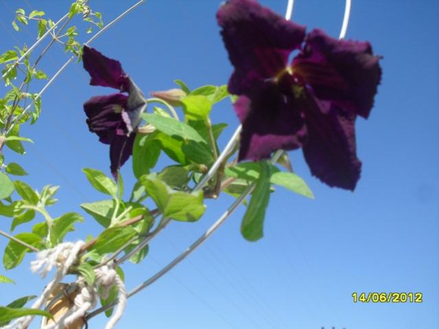 Name:  006.jpg
Views: 753
Size:  33.9 KB