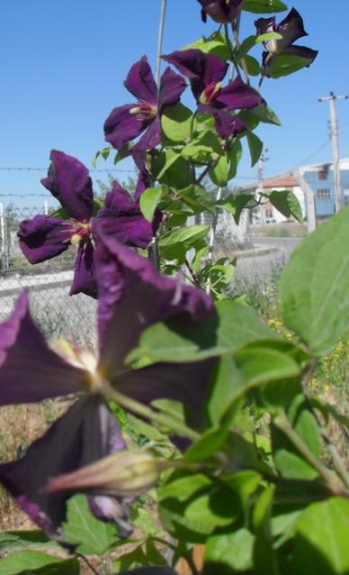 Name:  002.jpg
Views: 1027
Size:  38.2 KB