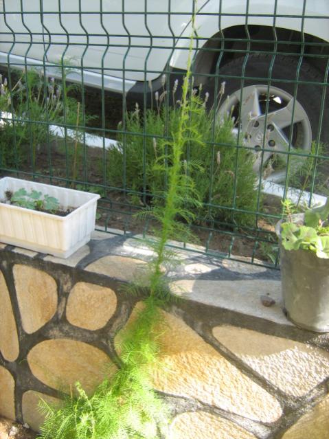 Name:  yeni resimler 3 013.jpg
Views: 975
Size:  59.9 KB