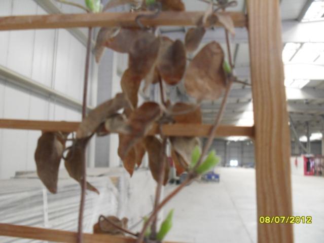Name:  003.jpg
Views: 1249
Size:  29.8 KB