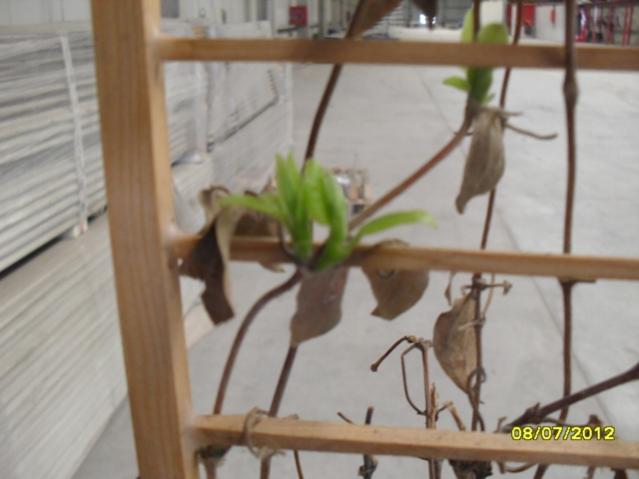 Name:  005.jpg
Views: 1145
Size:  31.4 KB
