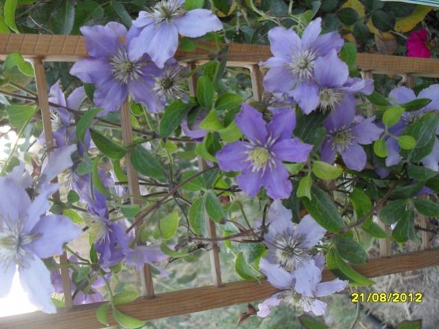 Name:  008.jpg
Views: 927
Size:  52.8 KB