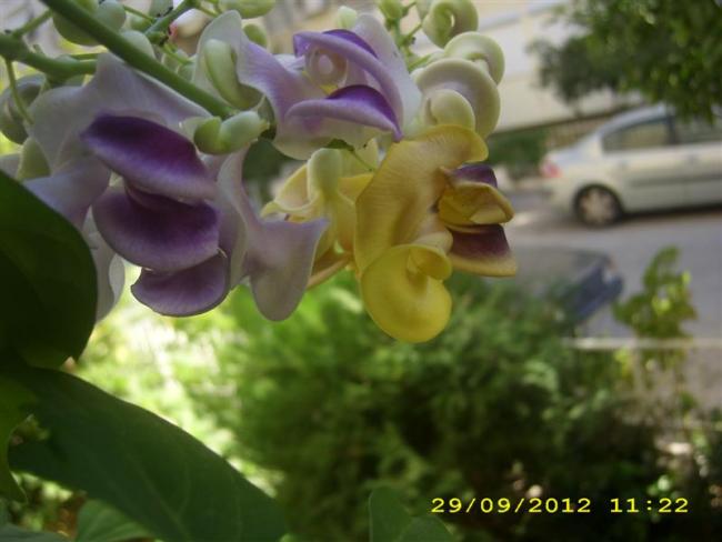 Name:  DSCI0094 (Medium).jpg
Views: 684
Size:  34.7 KB