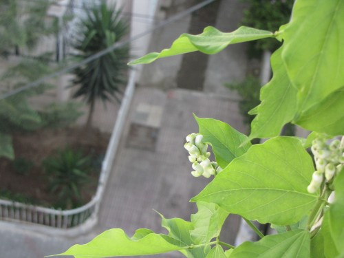 Name:  dnzpu.jpg
Views: 1297
Size:  38.4 KB