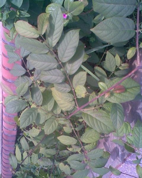 Name:  Grnt027.jpg
Views: 675
Size:  49.1 KB