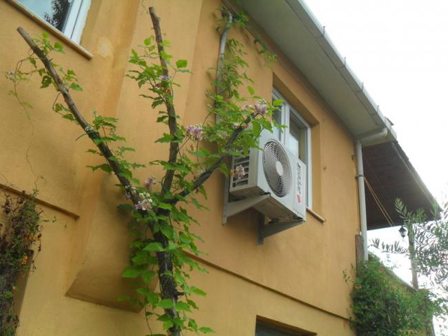 Name:  005.jpg
Views: 766
Size:  43.5 KB