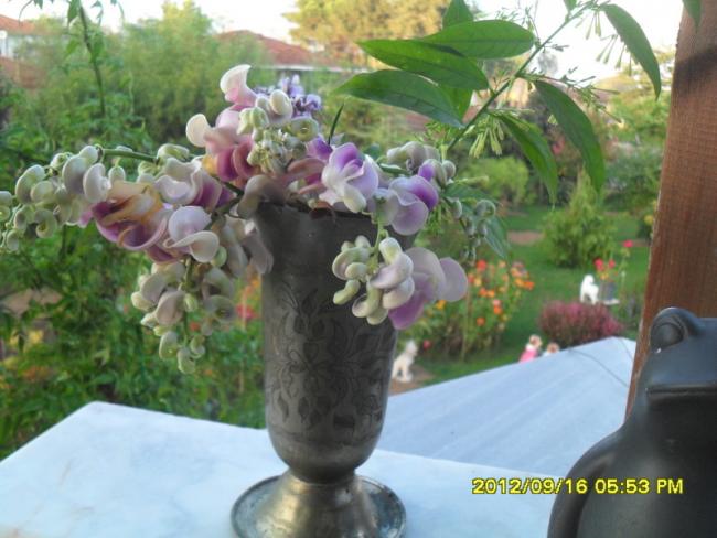 Name:  023.jpg
Views: 762
Size:  47.2 KB