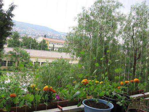 Name:  Resim 004.jpg
Views: 1608
Size:  64.2 KB