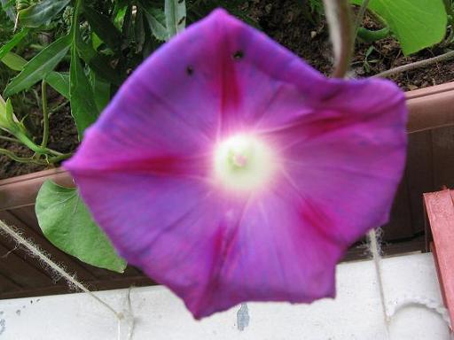 Name:  Resim 003.jpg
Views: 1598
Size:  35.4 KB