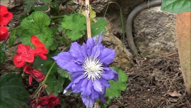 Name:  Itokent Urla 20.05.2012.mp4_000024491.jpg
Views: 1024
Size:  47.2 KB