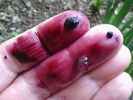 Name:  11.03.2013 (2).jpg
Views: 2324
Size:  66.1 KB