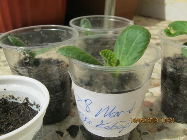 Name:  004.jpg
Views: 1039
Size:  40.3 KB
