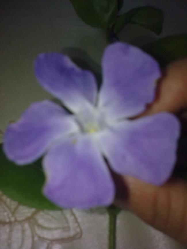 Name:  Grnt0441.jpg
Views: 834
Size:  29.4 KB