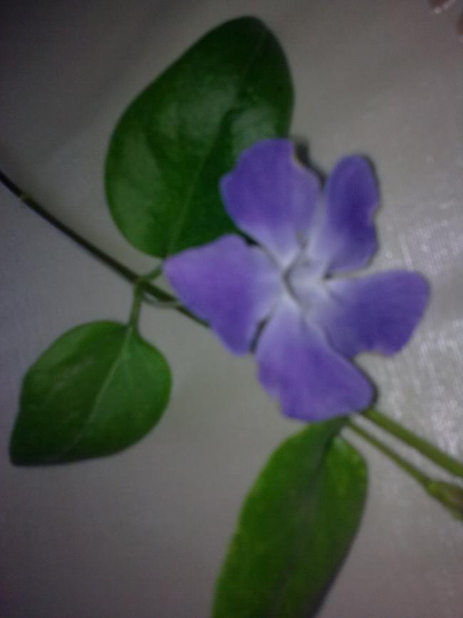 Name:  Grnt0443.jpg
Views: 862
Size:  30.4 KB