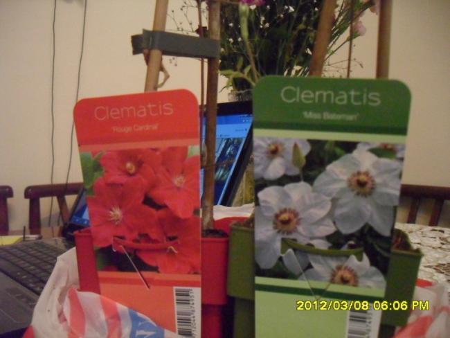Name:  024.jpg
Views: 835
Size:  37.6 KB