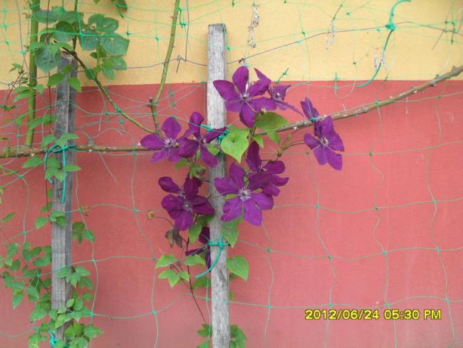 Name:  1-029.jpg
Views: 751
Size:  46.2 KB