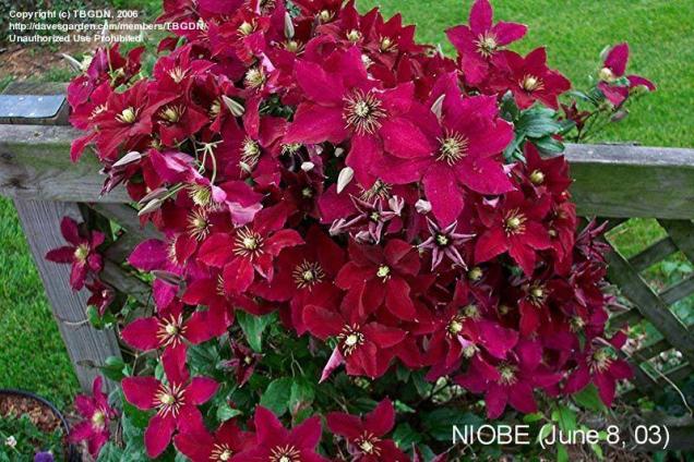 Name:  2b592d.jpg
Views: 5695
Size:  69.9 KB
