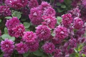 Name:  untitled.jpg
Views: 1116
Size:  13.3 KB