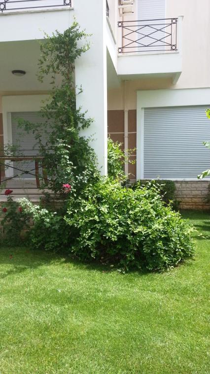 Name:  20130529_125415.jpg
Views: 2926
Size:  74.9 KB