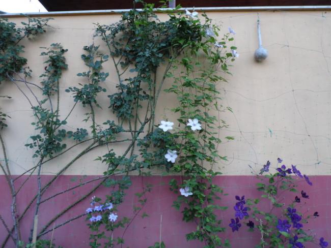 Name:  136-141.jpg
Views: 1077
Size:  51.1 KB