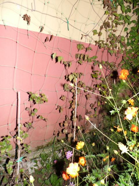Name:  64-042.jpg
Views: 982
Size:  70.4 KB