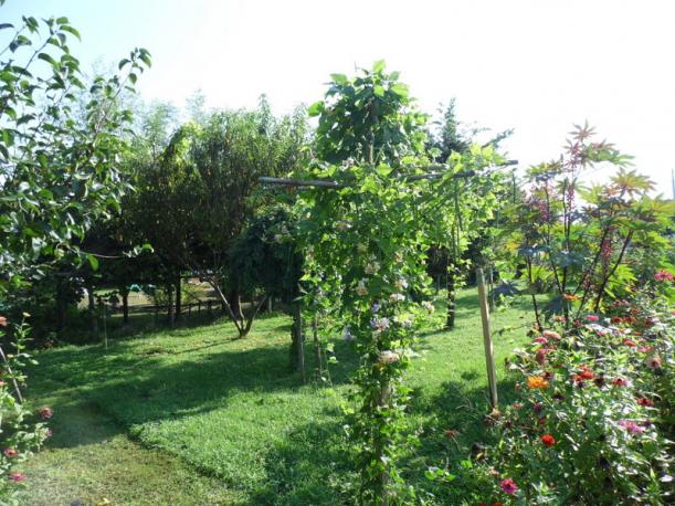 Name:  28-028.jpg
Views: 879
Size:  71.7 KB