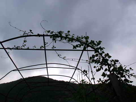 Name:  selluka1.jpg
Views: 705
Size:  25.2 KB