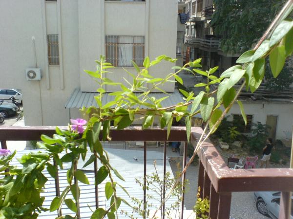 Name:  DSC04523.jpg
Views: 2423
Size:  53.2 KB