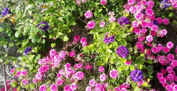 Name:  20160419_181428.jpg
Views: 614
Size:  70.9 KB