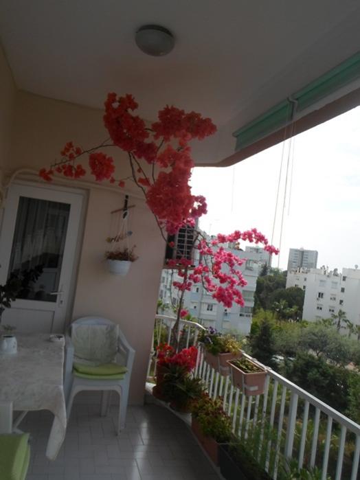 Name:  SAM_2052.jpg
Views: 1910
Size:  37.8 KB